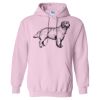 Heavy Blend Hooded Gildan Sweatshirt Thumbnail