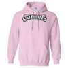 Heavy Blend Hooded Gildan Sweatshirt Thumbnail