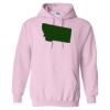 Heavy Blend Hooded Gildan Sweatshirt Thumbnail