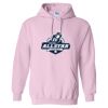 Heavy Blend Hooded Gildan Sweatshirt Thumbnail