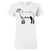 Heavy Cotton Women's Short Sleeve Gildan T-Shirt Thumbnail