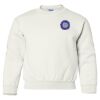 Heavy Blend Youth Crewneck Gildan Sweatshirt Thumbnail