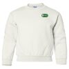 Heavy Blend Youth Crewneck Gildan Sweatshirt Thumbnail