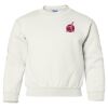 Heavy Blend Youth Crewneck Gildan Sweatshirt Thumbnail