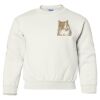 Heavy Blend Youth Crewneck Gildan Sweatshirt Thumbnail