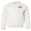Heavy Blend Youth Crewneck Gildan Sweatshirt Thumbnail