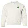 Heavy Blend Youth Crewneck Gildan Sweatshirt Thumbnail
