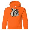 Heavy Blend Youth Hooded Gildan Sweatshirt Thumbnail