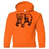 Heavy Blend Youth Hooded Gildan Sweatshirt Thumbnail