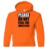 Heavy Blend Youth Hooded Gildan Sweatshirt Thumbnail