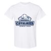 Heavy Cotton™ T-Shirt Gildan - BEST SELLING Thumbnail