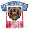 Multi Tie Dye Tees - Adult & Youth Thumbnail