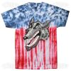 Multi Tie Dye Tees - Adult & Youth Thumbnail