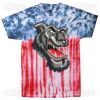 Multi Tie Dye Tees - Adult & Youth Thumbnail
