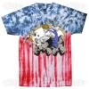 Multi Tie Dye Tees - Adult & Youth Thumbnail