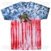 Multi Tie Dye Tees - Adult & Youth Thumbnail