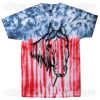 Multi Tie Dye Tees - Adult & Youth Thumbnail