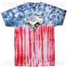 Multi Tie Dye Tees - Adult & Youth Thumbnail
