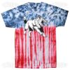 Multi Tie Dye Tees - Adult & Youth Thumbnail