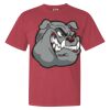 Garment-Dyed Heavyweight Comfort Colors® T-Shirt Thumbnail