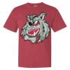 Garment-Dyed Heavyweight Comfort Colors® T-Shirt Thumbnail