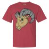 Garment-Dyed Heavyweight Comfort Colors® T-Shirt Thumbnail