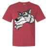 Garment-Dyed Heavyweight Comfort Colors® T-Shirt Thumbnail