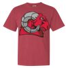 Garment-Dyed Heavyweight Comfort Colors® T-Shirt Thumbnail