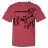 Garment-Dyed Heavyweight Comfort Colors® T-Shirt Thumbnail