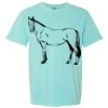 Garment-Dyed Heavyweight Comfort Colors® T-Shirt Thumbnail