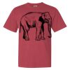 Garment-Dyed Heavyweight Comfort Colors® T-Shirt Thumbnail