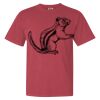 Garment-Dyed Heavyweight Comfort Colors® T-Shirt Thumbnail