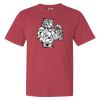 Garment-Dyed Heavyweight Comfort Colors® T-Shirt Thumbnail