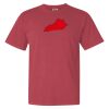Garment-Dyed Heavyweight Comfort Colors® T-Shirt Thumbnail