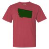Garment-Dyed Heavyweight Comfort Colors® T-Shirt Thumbnail