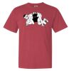 Garment-Dyed Heavyweight Comfort Colors® T-Shirt Thumbnail