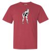 Garment-Dyed Heavyweight Comfort Colors® T-Shirt Thumbnail