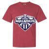 Garment-Dyed Heavyweight Comfort Colors® T-Shirt Thumbnail