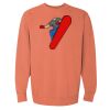 Garment-Dyed Sweatshirt Thumbnail